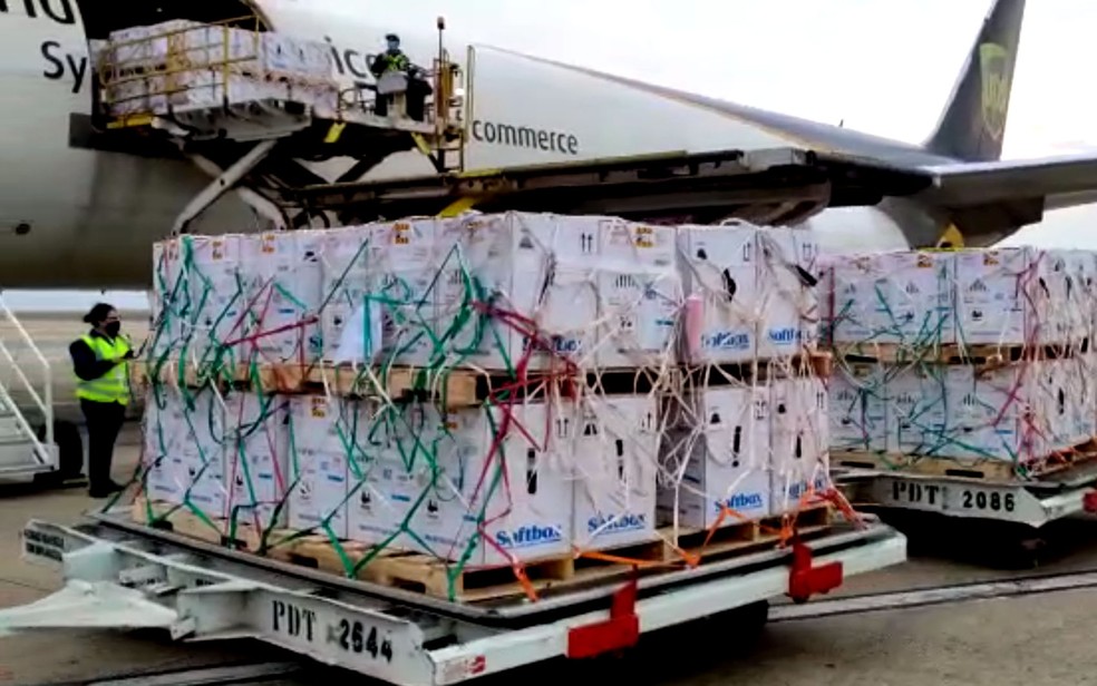 Brasil recebe neste domingo maior lote de vacinas da Pfizer com 5,1 milhões de doses