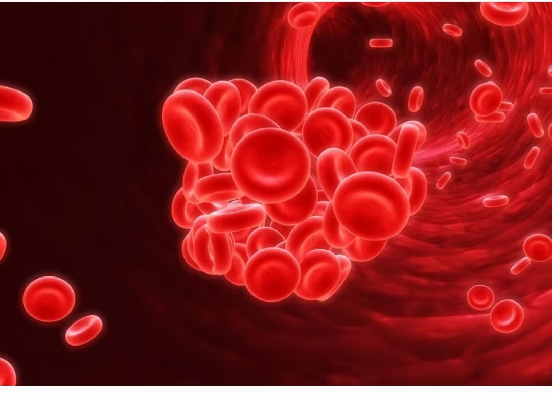 BOLETIM: Sem dados sobre números de casos e óbitos, PB registrou 08 pacientes internados por Covid nas últimas 24h