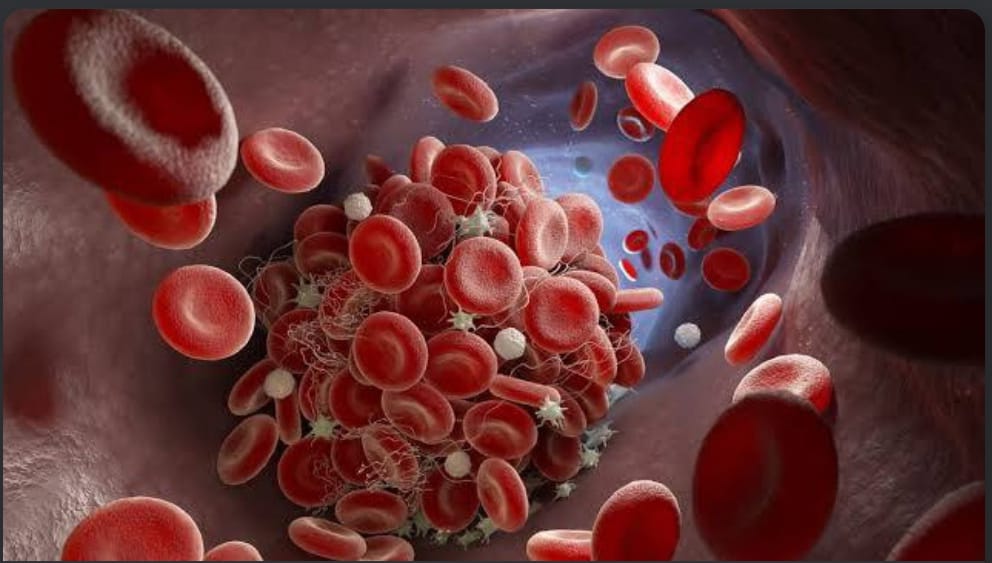 BOLETIM: Com redução no número de pacientes hospitalizados e ocupação de leitos de UTI, PB confirma 08 pacientes internados nas últimas 24h