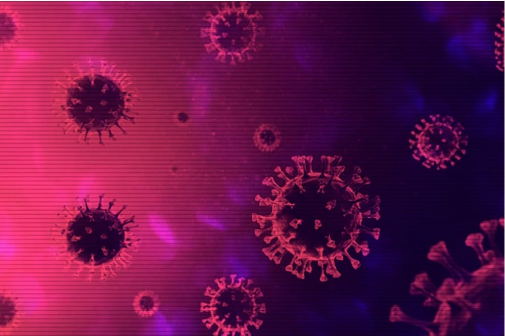 BOLETIM: Paraíba registrou 193 casos e 01 paciente internado por Covid-19 nas 24 horas