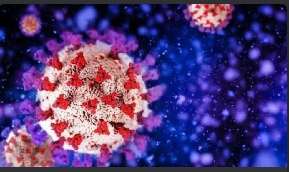 BOLETIM: Paraíba confirma 6.587 casos, 13 novos óbitos e 16 pacientes internados por Covid-19  nas últimas 24h