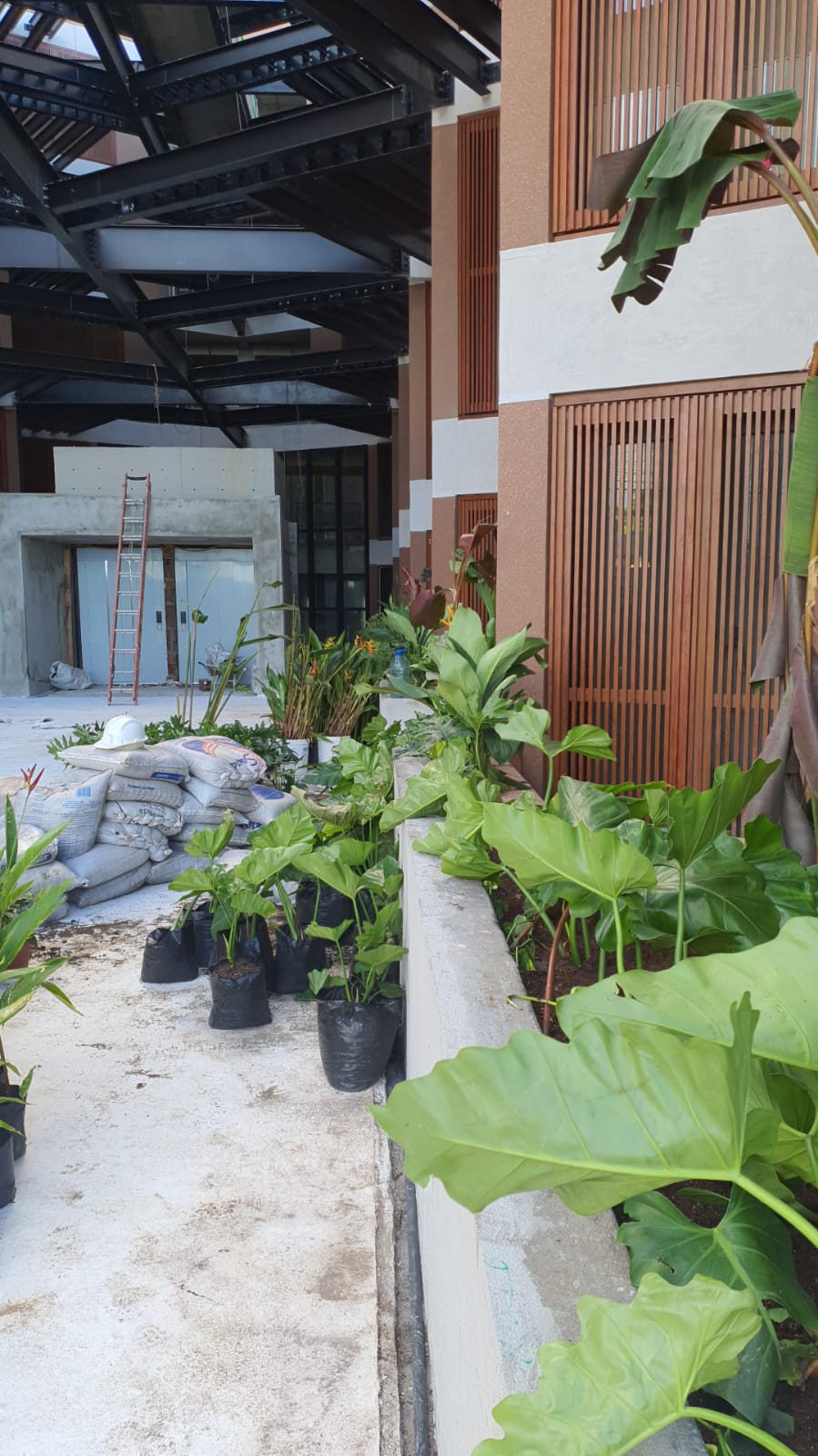 Paisagismo exclusivo, Ba'ra Hotel em João Pessoa recebe primeiras espécies de plantas