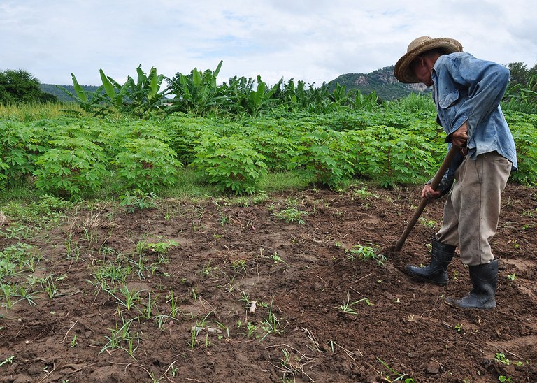 DAP/Pronaf: Agricultura Familiar terá novo cadastro a partir desta terça-feira