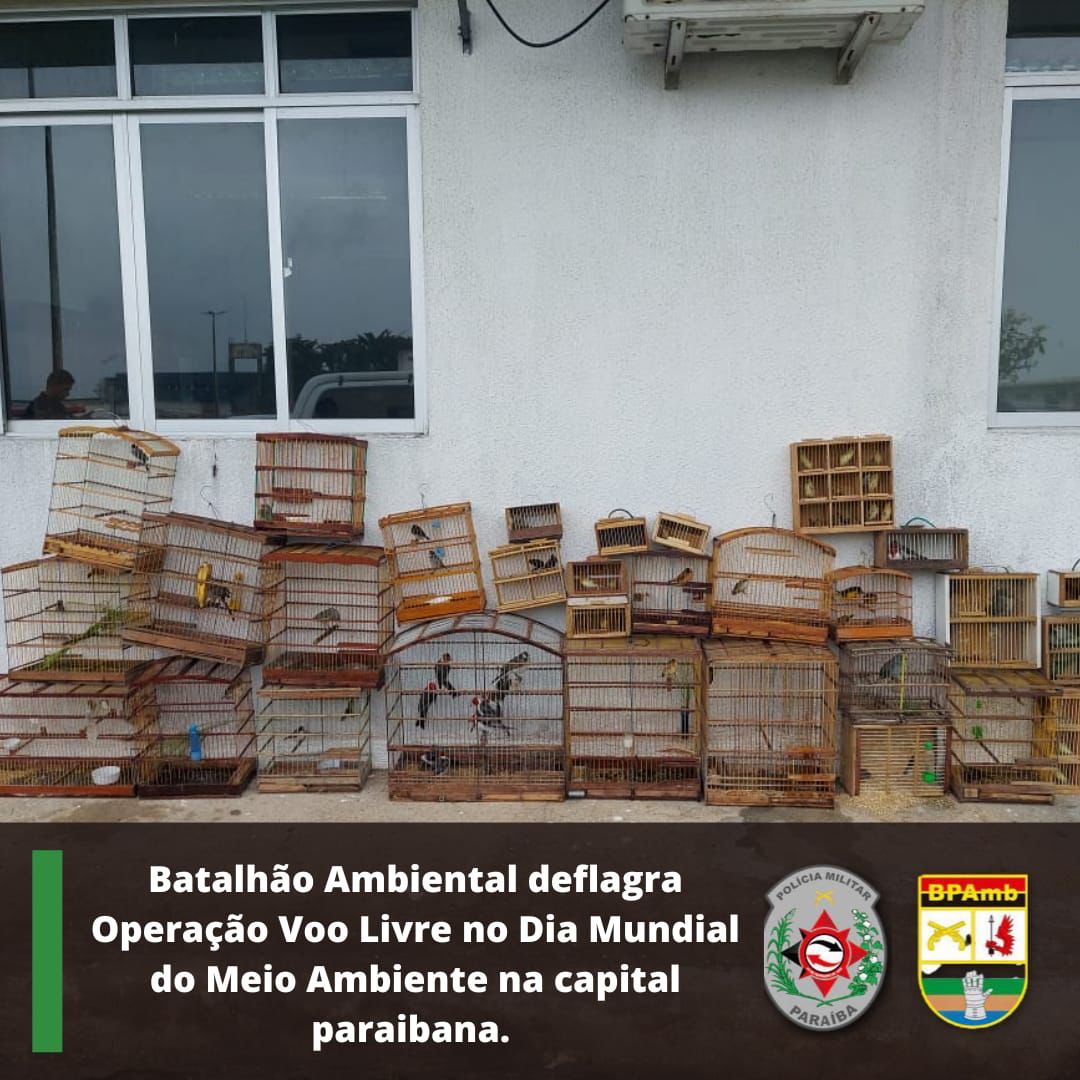 No Dia Mundial do Meio Ambiente, Batalhão Ambiental resgata aves silvestres na feira de Oitizeiro e infratores são presos e multados em R$20.500,00