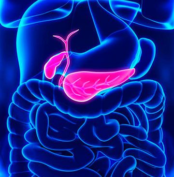 Tabagismo, obesidade e o consumo excessivo de álcool, estudo traz novidades sobre prevenção para um dos tumores mais agressivos no câncer de pâncreas câncer