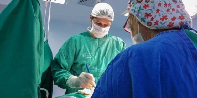 Saúde da Paraíba anuncia realização de histerectomia masculinizadora a partir de julho