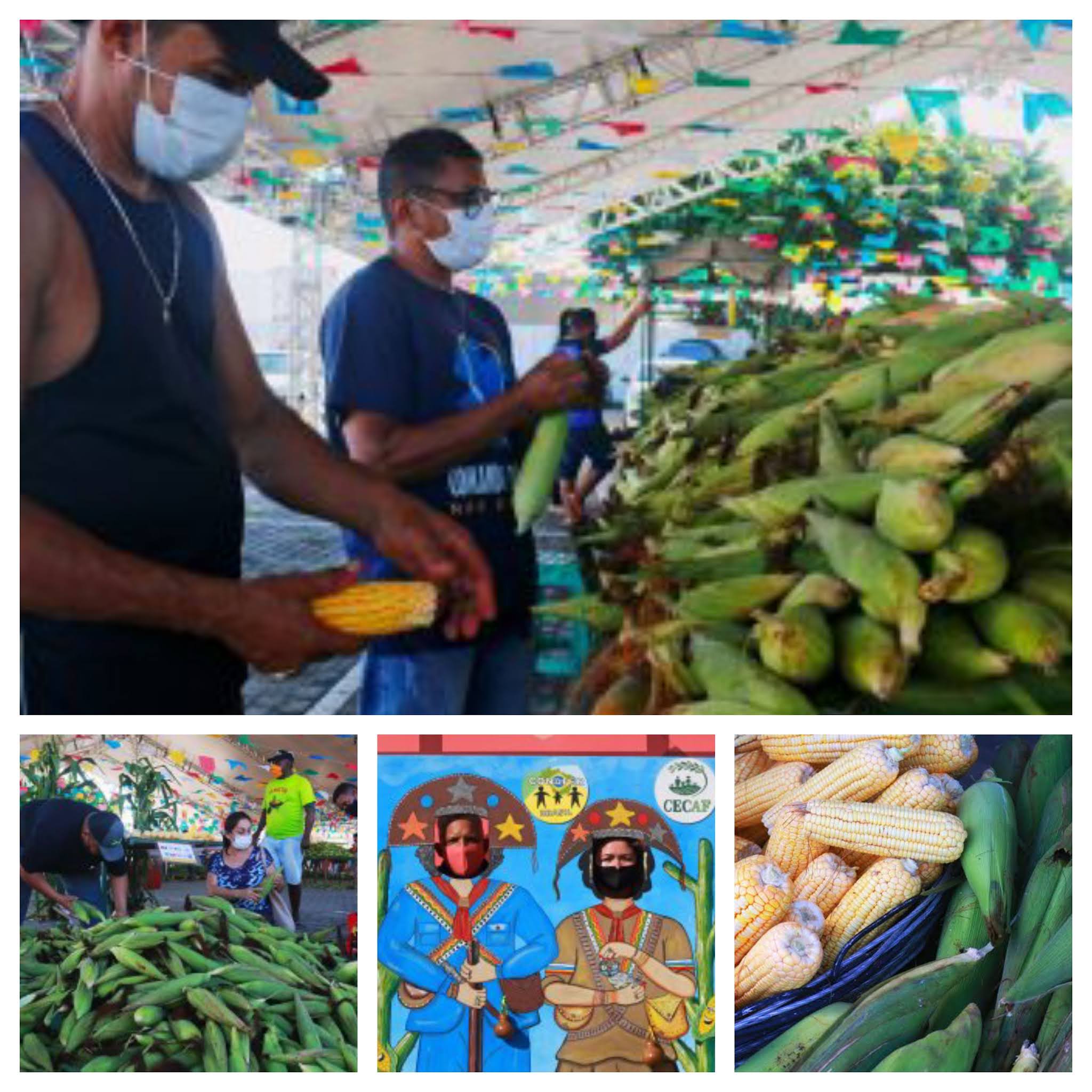 É São João, Festival do Milho da Cecaf em João Pessoa reúne apresentações culturais, gastronomia, serviços e milho a preço acessível