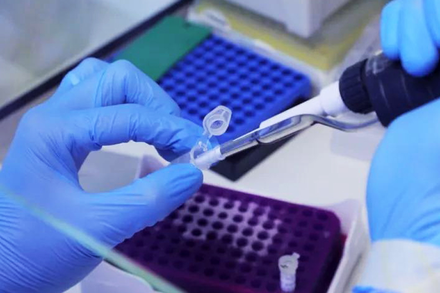 Paraíba já registrou 373 casos de monkeypox com maior número em João Pessoa