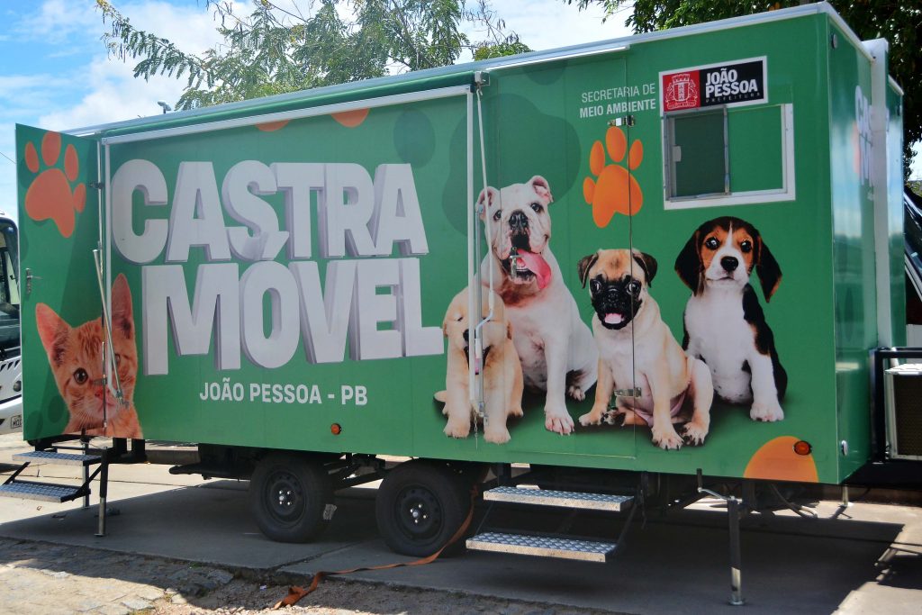 Prefeitura de João Pessoa retoma a partir desta quarta-feira o programa de cirurgias para esterilização de cães e gatos abandonados nas ruas da Capital paraibana