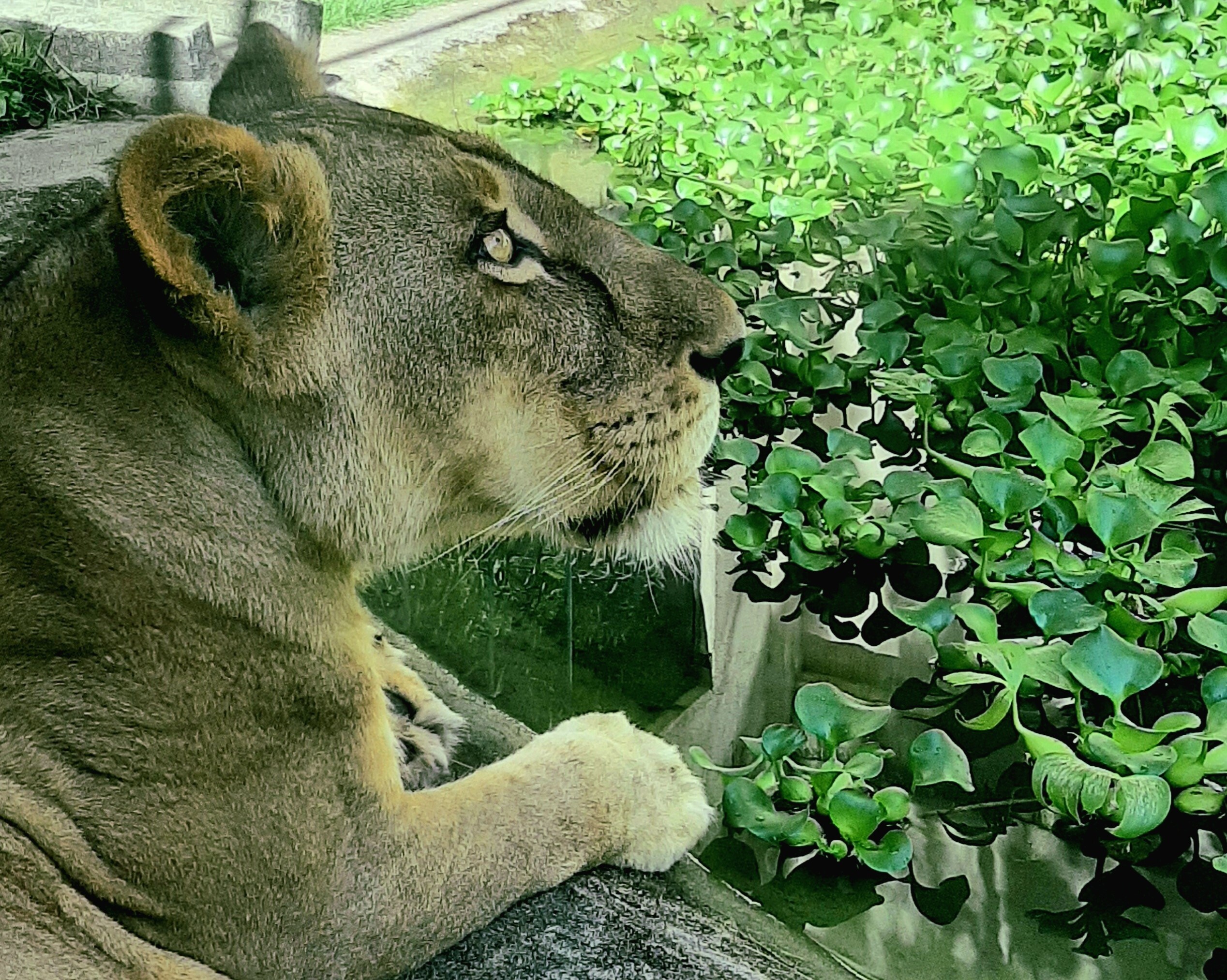 Parque Arruda Câmara abre nesta segunda-feira como opção de lazer para as famílias no Dia do Comerciário