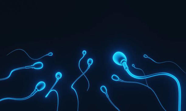 Contagem de espermatozoides dos homens está caindo, e isso é um mistério para os cientistas