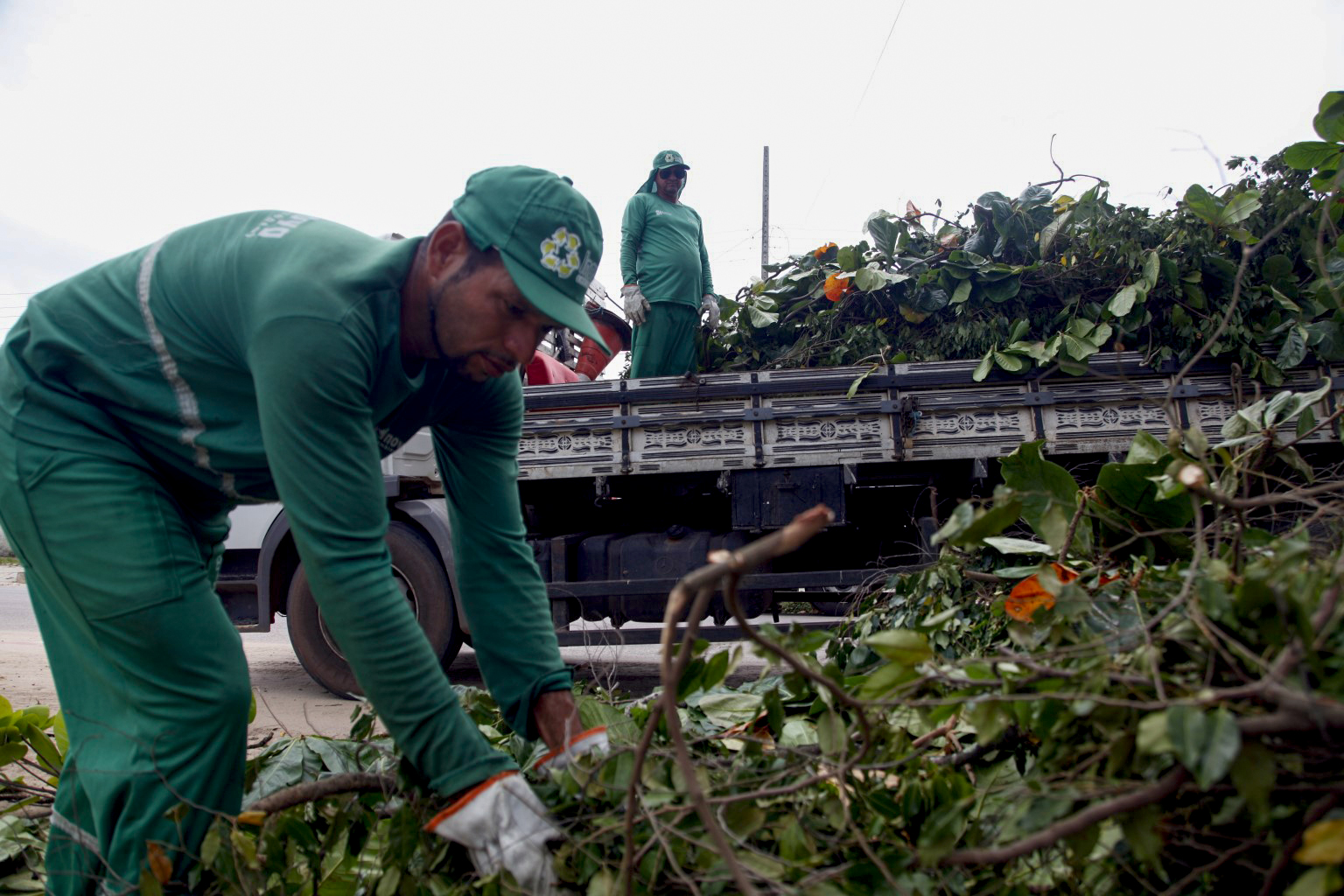 Emlur recolhe resíduos de poda de árvores em seis bairros de João Pessoa nesta quarta-feira