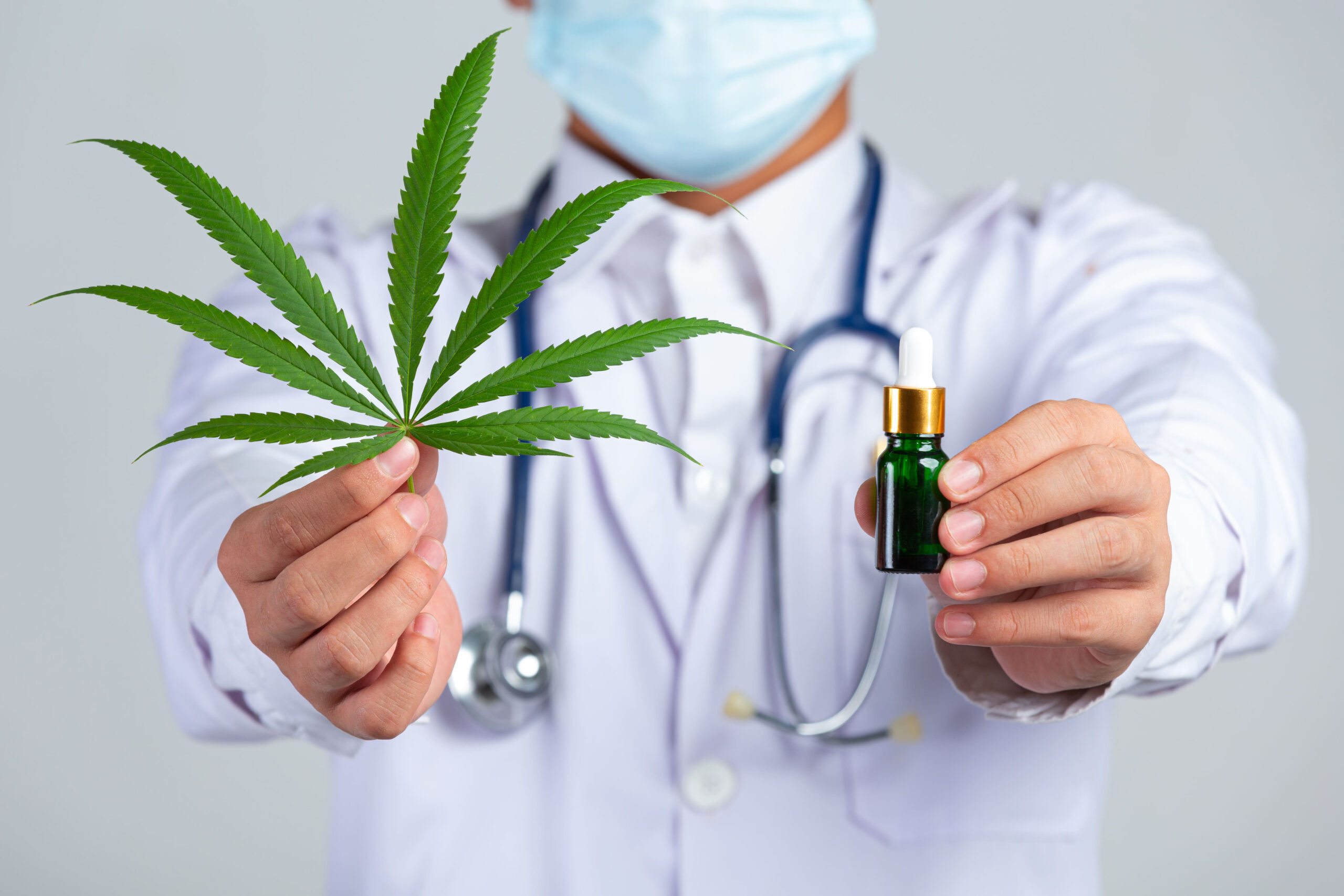 Justiça autoriza associação paraibana a fornecer flor de cannabis para tratamentos medicinais