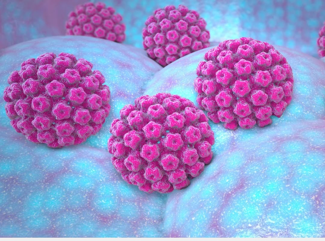 Câncer de colo de útero: Novo teste de HPV no SUS pode antecipar diagnóstico em até 10 anos