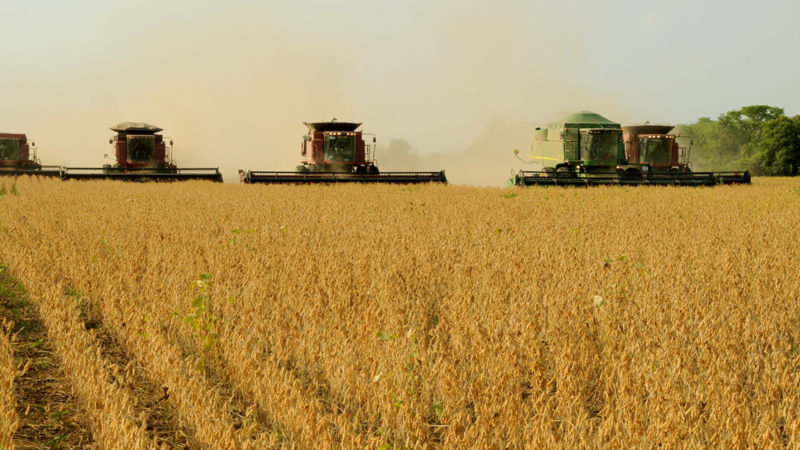 Sem soja e com Milei, vendas de produtos brasileiros para a Argentina despencam 30%