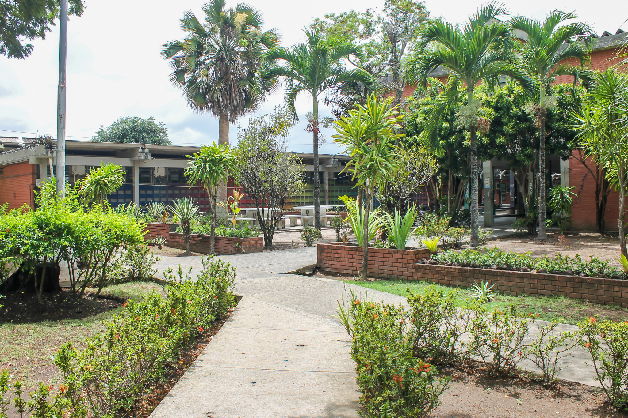 Línguas estrangeiras: UFPB oferece vagas para cursos de inglês, espanhol e francês