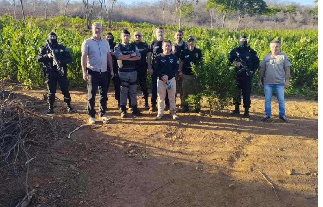 Veja vídeo: ex-prefeito é preso suspeito de comprar fazenda com dinheiro de "rachadinha" para financiar plantação de maconha no Sertão da Paraíba