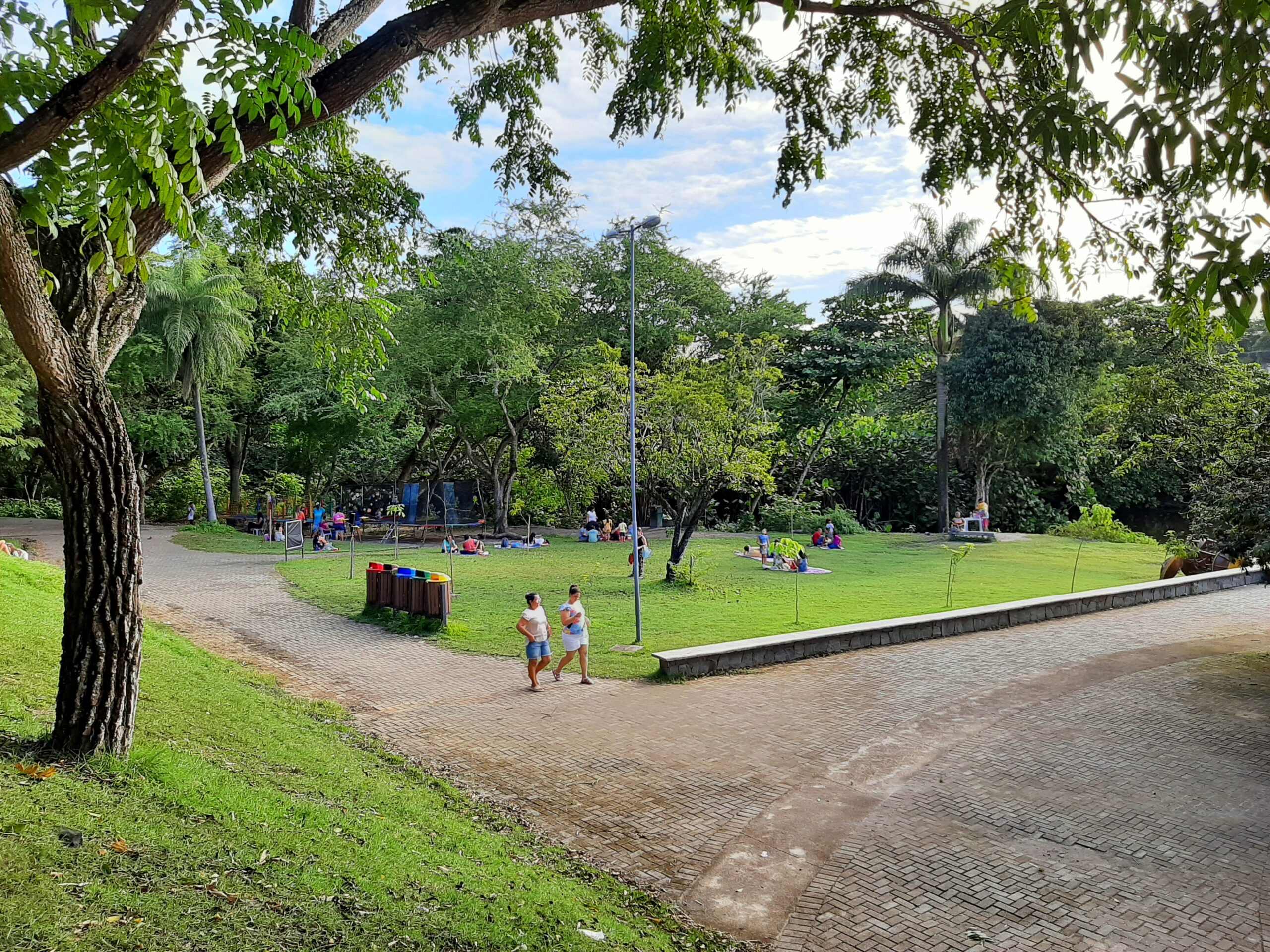 João Pessoa sedia a partir desta segunda-feira o ‘1º Simpósio das Cidades Brasileiras Árvores do Mundo’