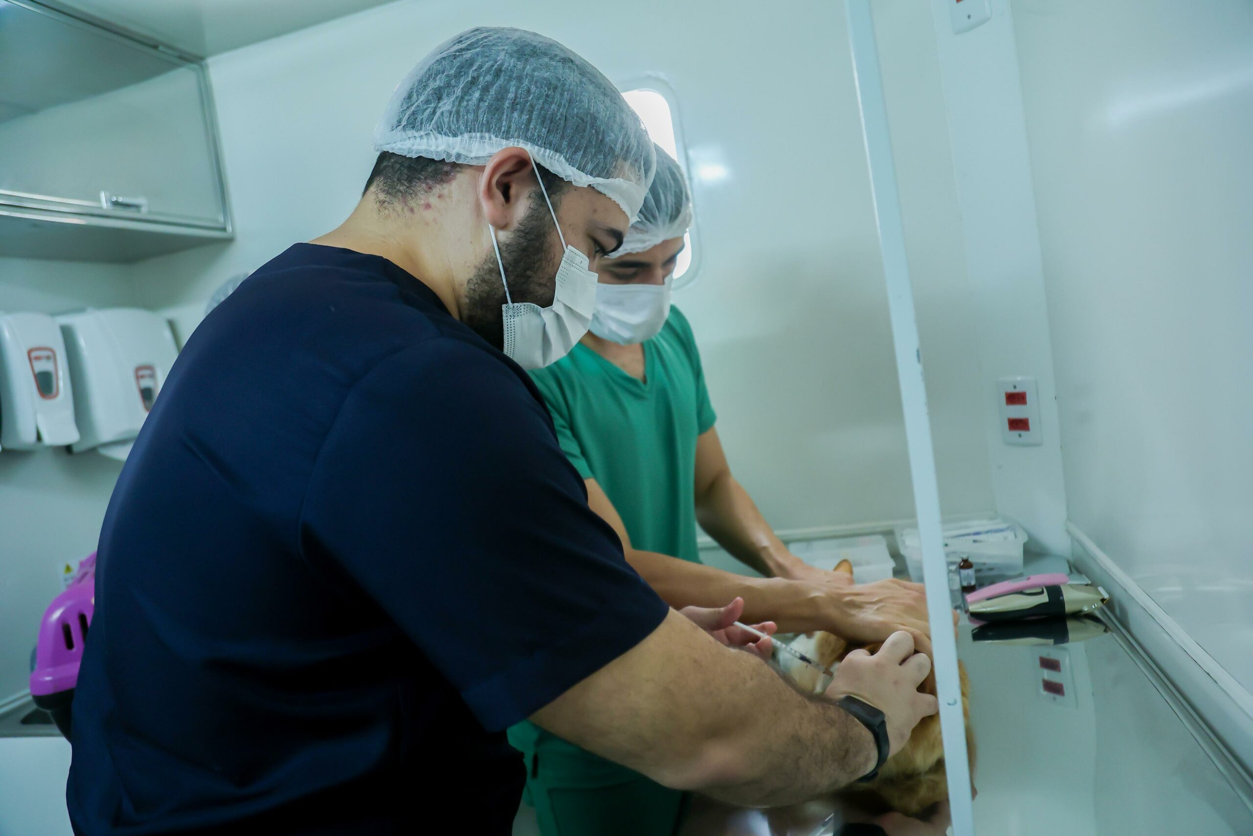 Gerência de Vigilância Ambiental e Zoonoses de João Pessoa realiza castração de gatos e vacinação antirrábica no Alto do Mateus