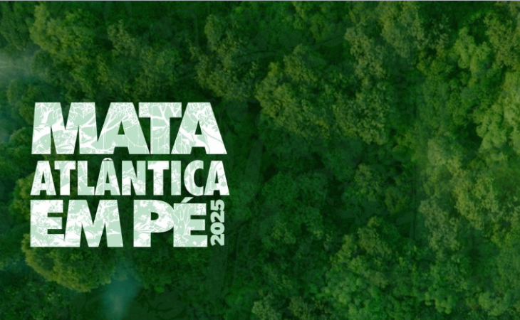 Operação constata desmatamento em 51 hectares na PB; denunciados responderão por medidas judiciais e extrajudiciais, nas esferas civil e criminal