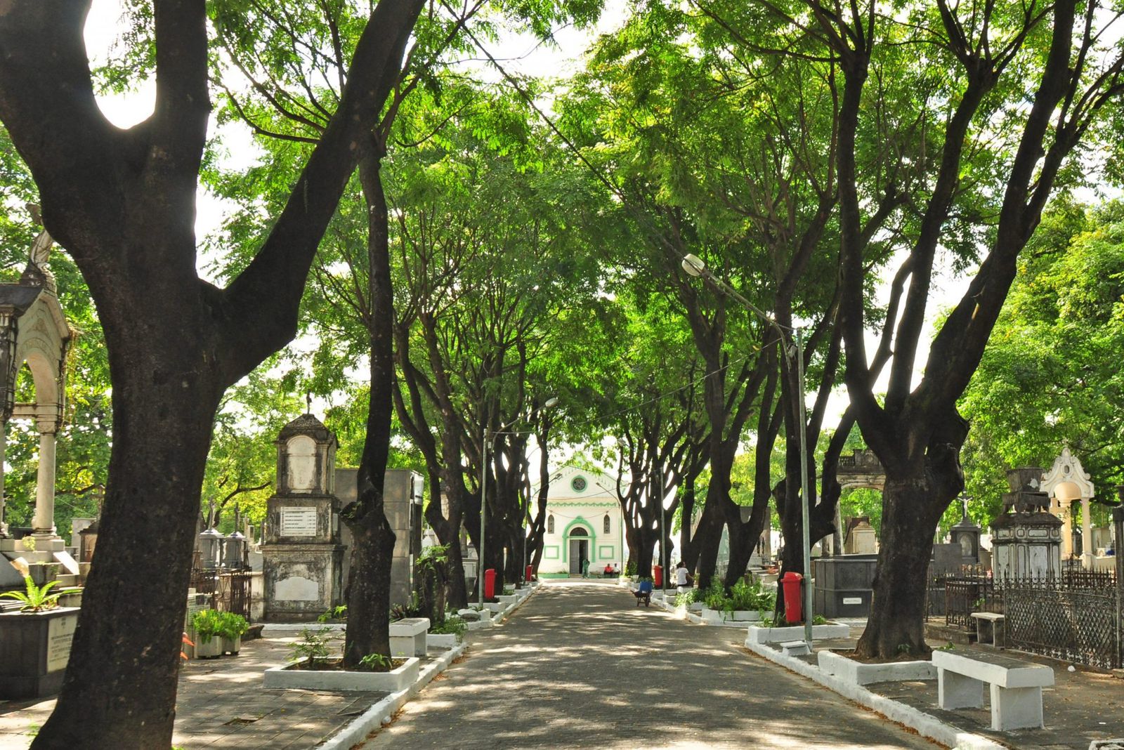 Sedurb-JP cadastra mais de 80% dos túmulos dos cemitérios públicos de João Pessoa