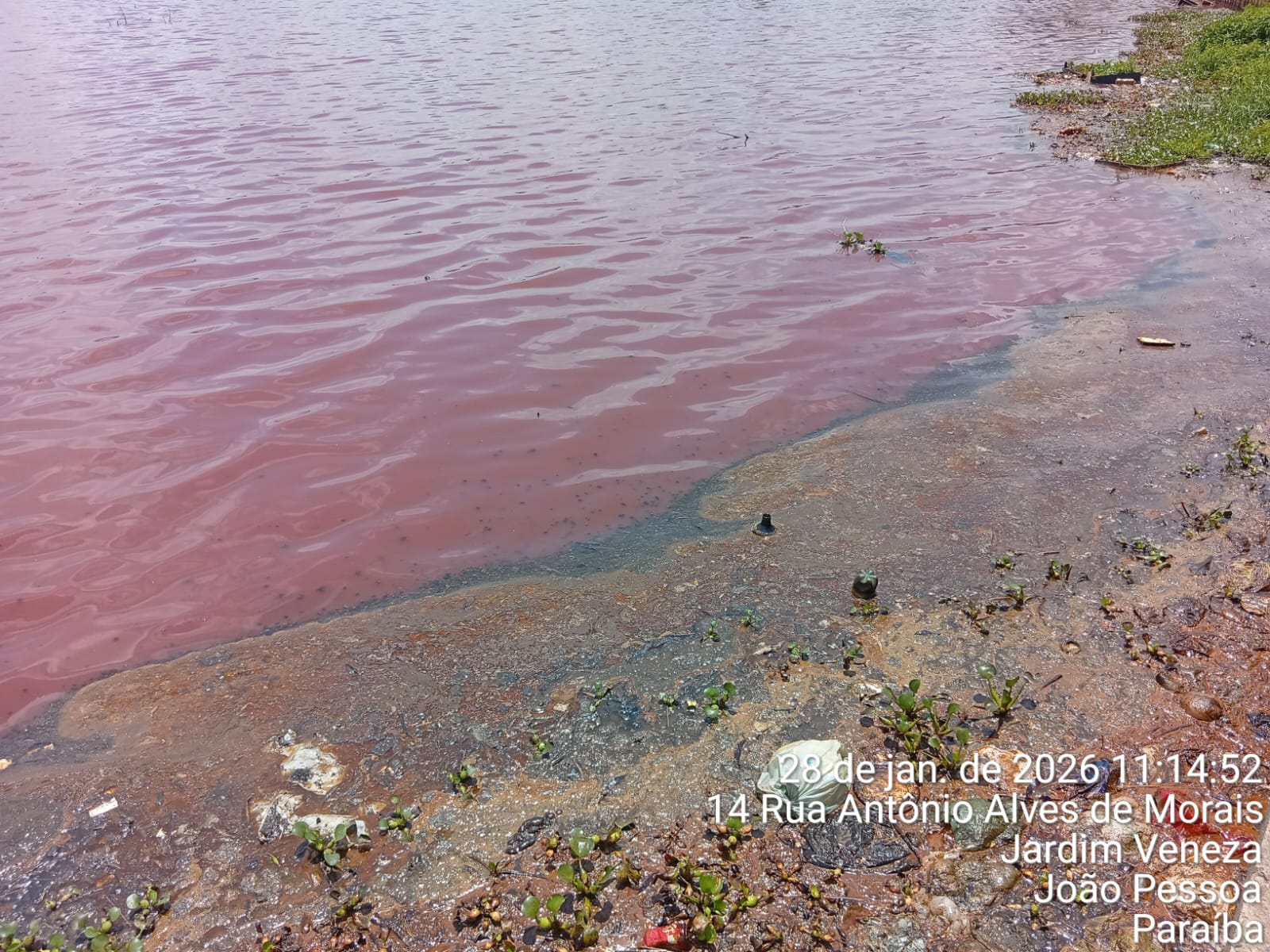 Semam-JP notifica Cagepa e Sudema por poluição na área do Parque das Três Lagoas