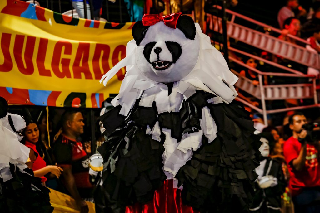 Desfile das Ala Ursas leva alegria e irreverência ao Carnaval Tradição 2026 neste sábado e domingo     